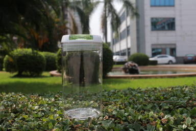 Récipient en plastique recyclable approuvé par le FDA avec le couvercle verrouillable BPA librement